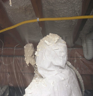 Green Bay WI crawl space insulation